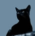 Cat4 Jpg