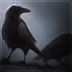 Crows Jpg